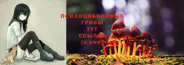 mdpv Михайловск