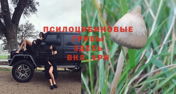 COCAINE Кострома