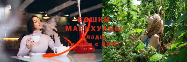 гашик Михайлов