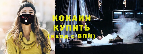 гашик Михайлов