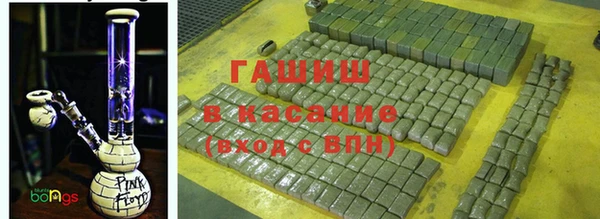 гашик Михайлов