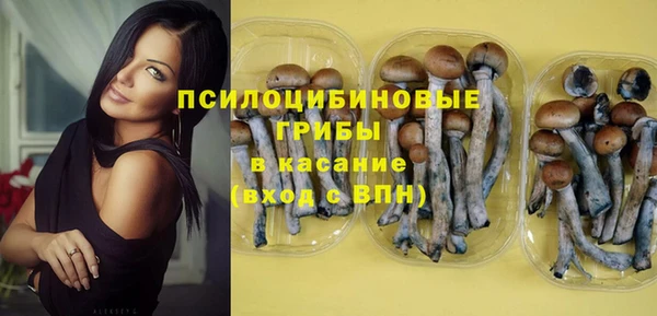 дмт Медвежьегорск