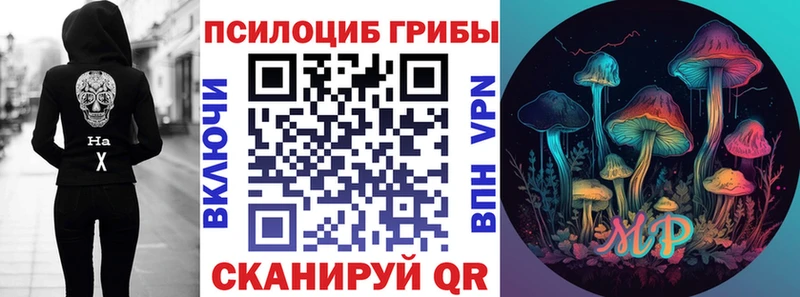 Псилоцибиновые грибы ЛСД  что такое наркотик  darknet телеграм  Петровск-Забайкальский 